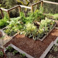 DIY doe-het-zelf tuin