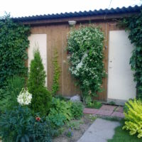 Vertical gardening of outbuildings