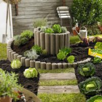 Spiral bed for growing vegetables