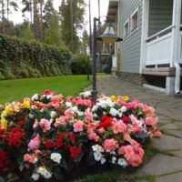 Gėlių lova su ryškiomis gėlėmis priešais sodybos verandą