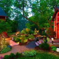 Bright colors of a country garden