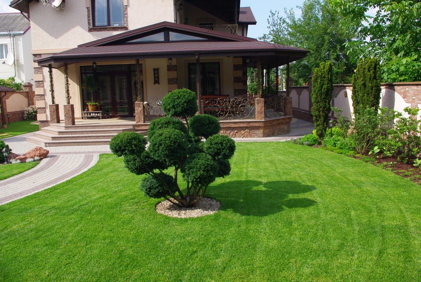 A small lawn in front of the open terrace of a residential building