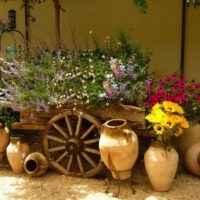 Vecchi vasi e carretto di fiori