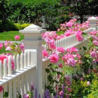 Decor van een houten hek met bloeiende planten