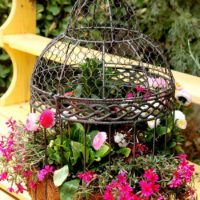 Vaso di fiori originale da una vecchia gabbia per uccelli