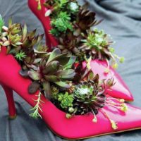 المزهريات الوردية من الأحذية القديمة