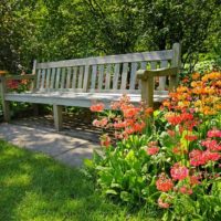 Gražios gėlės prie sodo suolo
