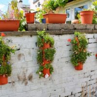Decorare una recinzione in mattoni con vasi di fiori