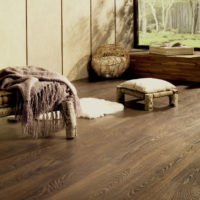 Laminate in the living room in eco style