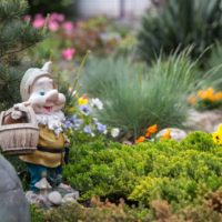 Gnome de conte de fées sur un parterre de jardin
