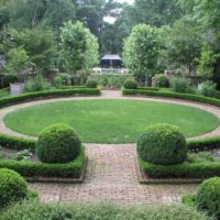 Arbusti nel design del giardino europeo