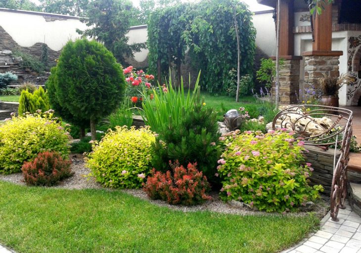 Arbustes vivaces et plantes herbacées dans le paysage d'un jardin privé