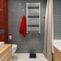 Vonios kambario dizainas pilkomis ir raudonomis plytelėmis