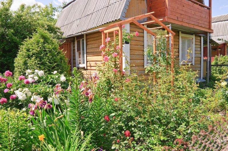 Design de jardin devant le jardin rustique