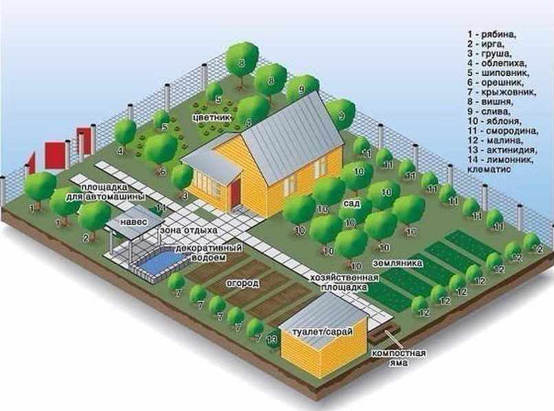 Personīgā zemes gabala dārzkopības plāns-shēma