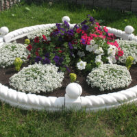 DIY virágágyás betonból készült virágokhoz