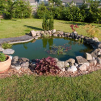 Езерце с водни лилии в градината
