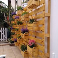 Vertikali gėlių lova iš medinių dėžių