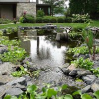 artificial pond with fish in the garden