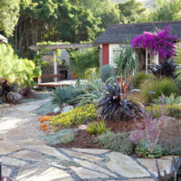 Southern plants in landscaping