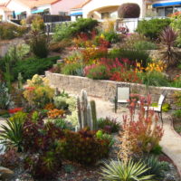 حديقة متعددة المستويات مع الجدران الاستنادية