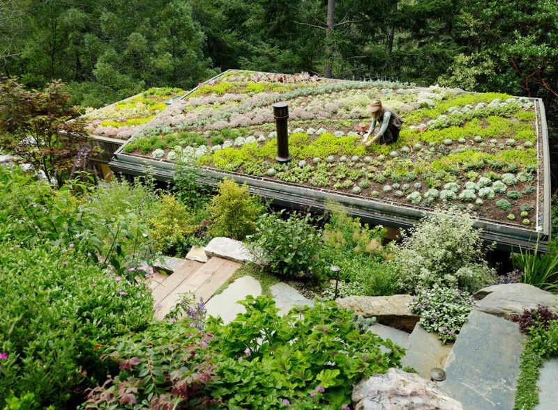 Usando il tetto piano della casa come un giardino