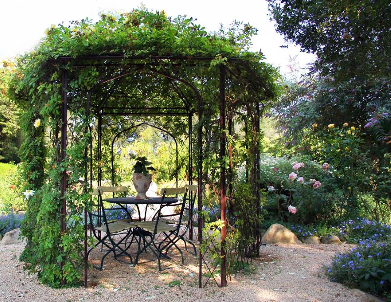 Tuinhuisje met stalen structuur voor snelgroeiende wijnstokken