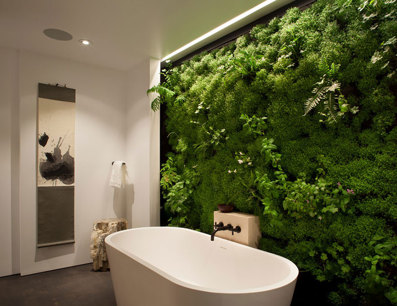 Décoration murale dans la salle de bain avec des plantes vivantes