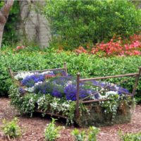 An original flower bed with flowers from an old bed