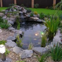 Small pond in the garden landscape