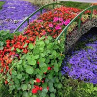 Flower arrangement in the form of a bridge over a stream