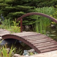 A bridge of planks across a garden stream