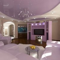 Dzīvojamās istabas dizains purpursarkanās nokrāsās