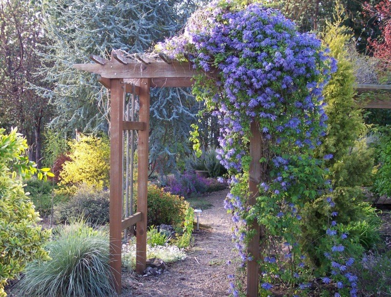 Garden arch made of wood in the landscape of a summer cottage