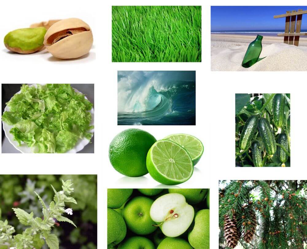 Exemples de différentes nuances de vert