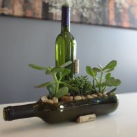 Vaso per piante d'appartamento da una bottiglia di vetro