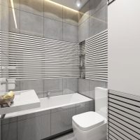 Kopīgs vannas istabas dizains pelēkos toņos