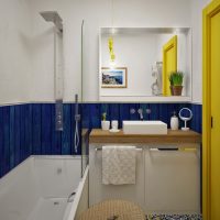 Zili paneļi uz vannas istabas sienas
