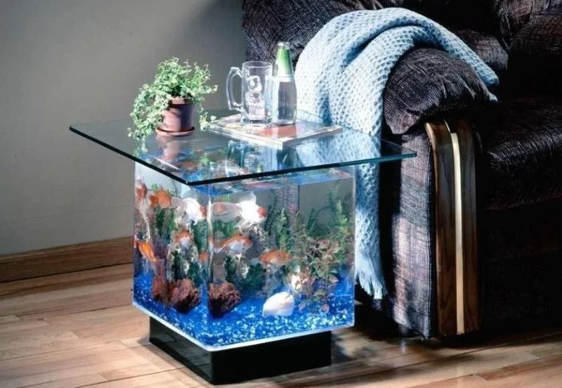 Petit aquarium comme meuble