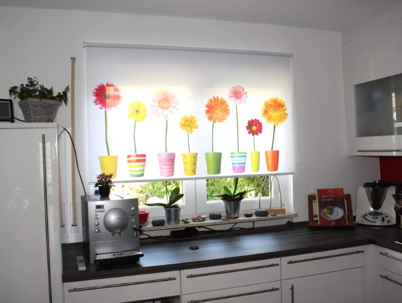 Ant skydinių namų virtuvės lango suvyniotos užuolaidos su nuotraukų spausdinimu