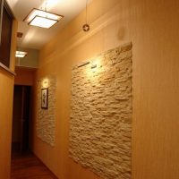 Panneau de pierre naturelle sur le mur du couloir