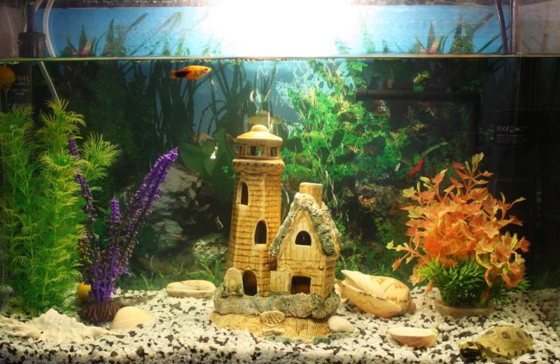 Château de conte de fées à l'intérieur de l'aquarium