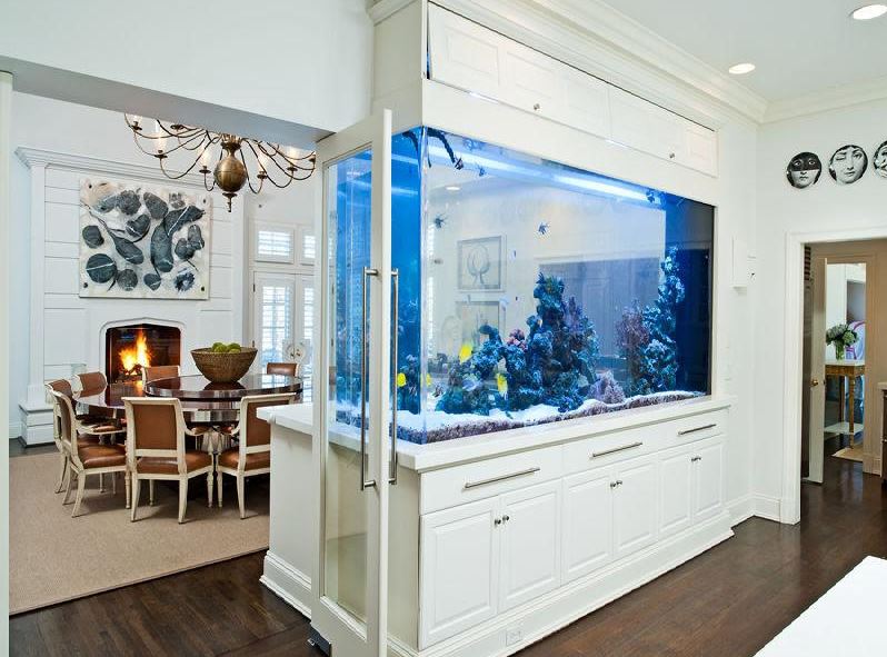 Aquarium à cloisons intégré entre la salle à manger et le salon