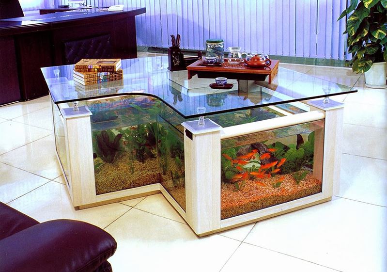 Table basse avec aquarium intégré