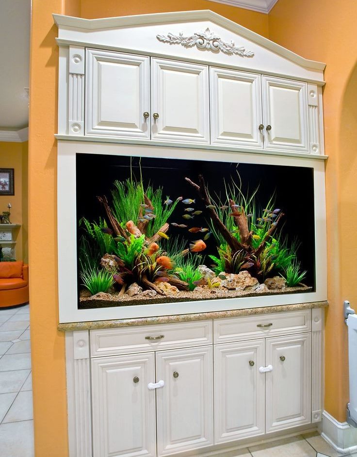 Armoire de cuisine avec aquarium intégré