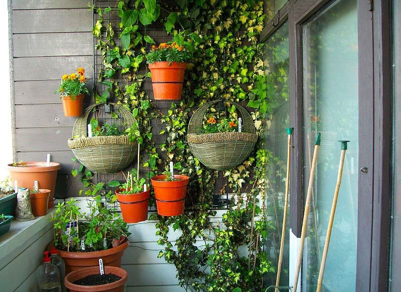 Suspendre des pots avec des plantes d'intérieur sur le mur du balcon