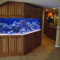 Armoires de cuisine avec aquarium intégré
