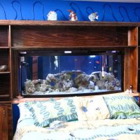 Étagères en bois avec aquarium au-dessus du lit