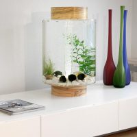 Petit aquarium décoratif