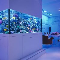 Concevoir un salon avec un grand aquarium